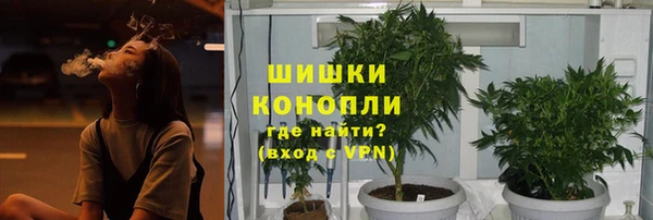 не бодяженный Няндома