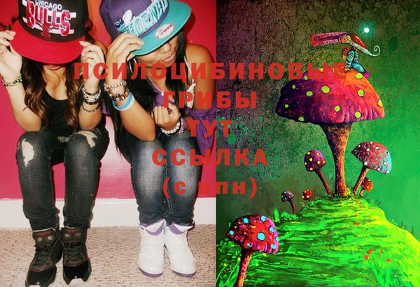 не бодяженный Няндома