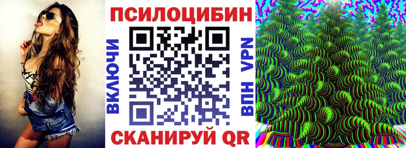 OMG ТОР  маркетплейс формула  Пласт  Псилоцибиновые грибы Psilocybine cubensis  где продают наркотики 